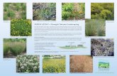 Xeriscaping: Drought Tolerant Landscaping - Chesapeake Ecology Center