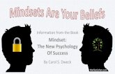Do You Have Fixed or a Growth Mindset