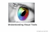 What are visual texts (1E3)
