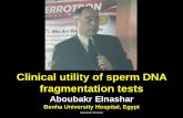 Clinical utility of sperm DNA fragmentation tests Aboubakr Elnashar Benha University Hospital, Egypt