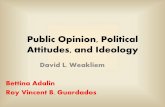 Public opinion, political attitudes, and ideology