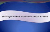 Manage Mould Problems With A Plan