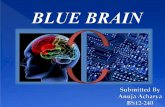 Blue brain...