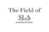 The Field of Second Language Acquisition