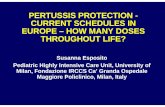 PERTUSSIS PROTECTION - CURRENT SCHEDULES IN EUROPE