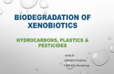 Biodegradation of xenobiotics