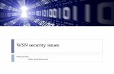 Wsn security issues