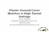 Plastic ground cover mulches in high tunnel settings, 2015