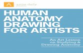 Iniciación drawing anatomy