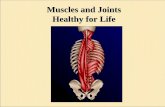 Muscles and joint health