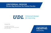 Universal Design for Learning Brown Bag Presentation