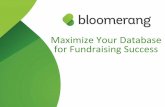 Maximize Your Database for Fundraising Success (INAPEF)