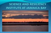 Science and resiliency institute at jamaica bay stakeholder report