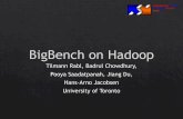 A BigBench Implementation in the Hadoop Ecosystem