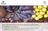 Agricultural and tree biodiversity for healthy diets and healthy landscapes