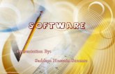 Software introduction