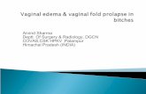 Vaginal prolapse   arvind
