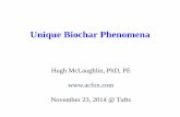 Hugh McLaughlin - Biochar Workshop