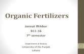 Organic fertilizers