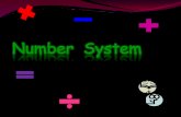 Number system (2)