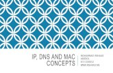 IP, DNS and MAC concepts