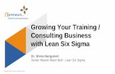 Grow Your Training and Consulting Business with Lean Six Sigma
