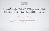 Finding your Way in the Midst of the NoSQL Haze - Abdelmonaim Remani