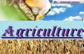 Ashutosh gautam {chapter 4   agriculture}