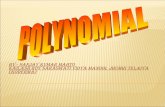 POLYNOMIALS OF CLASS 10