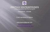 Prithvi Enterprises