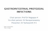 Protozoal - Dr yashavanth