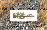Cover Crops on My Farm in Northwest Iowa - Northey