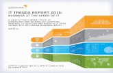 SolarWinds IT Trends Report 2015: Business at the Speed of IT (Brazil)