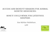Access and Benefit-Sharing for Animal Genetic Resources: How it could work for livestock keepers