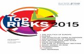 Top risks 2015
