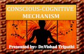 Conscious cognitive mechanism