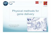 Physical methods for gene delivery - M2P VTV - Univ. P. Sabatier