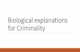 E1a1 biological explanations for criminality