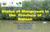 State of the Mangroves: Bataaan