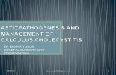 Aetiopathogenesis and management of calculus cholecystitis