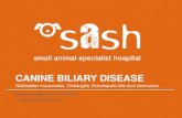 Canine Biliary Disease - Gallbladder mucocoeles, Cholangitis, Extrahepatic bile duct obstruction
