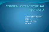 Cevical intraepithelial neoplasia