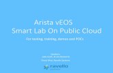 Arista vEOS Smart Lab on public cloud - for testing, trials, training and demos