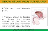 Prostate - Know About BPH
