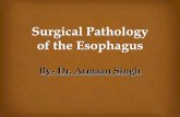 Surgical pathology of the esophagus