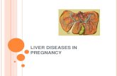 Liver diseases (3)