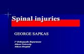 Spinal injuries 2009