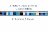 Types and classification of fractures