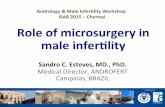 Role of microsurgery in male infertility