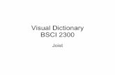 Joist Visual Dictionary 3
